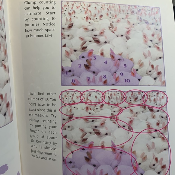 SALE!! Math story and reproducibles.  Education 2 - Picture 4 of 9